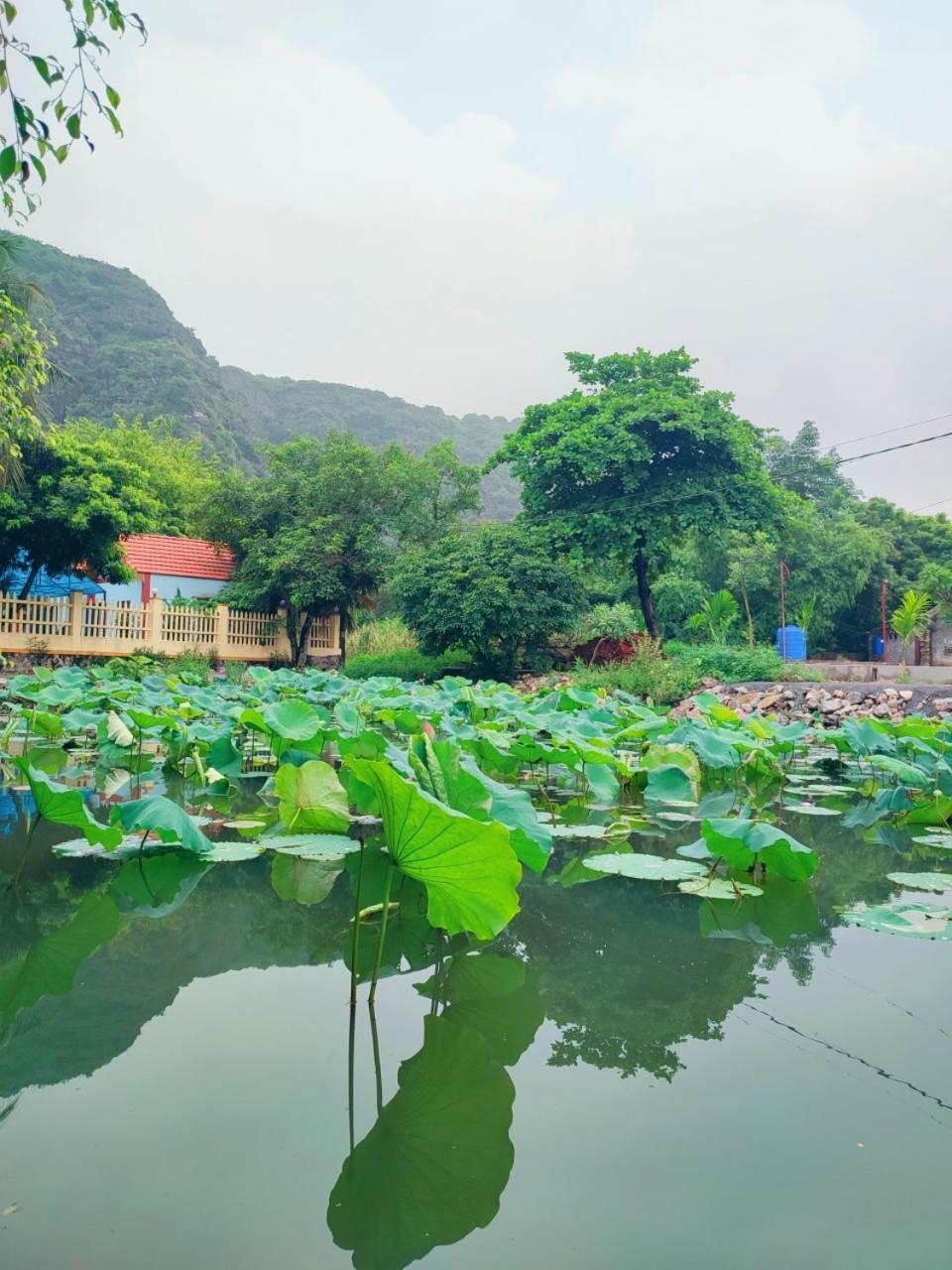 Trang An Natural Mountainside Homestay Ninh Bình Extérieur photo