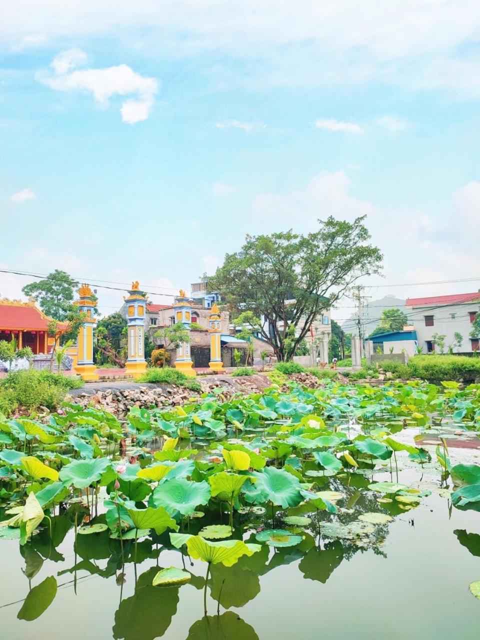 Trang An Natural Mountainside Homestay Ninh Bình Extérieur photo