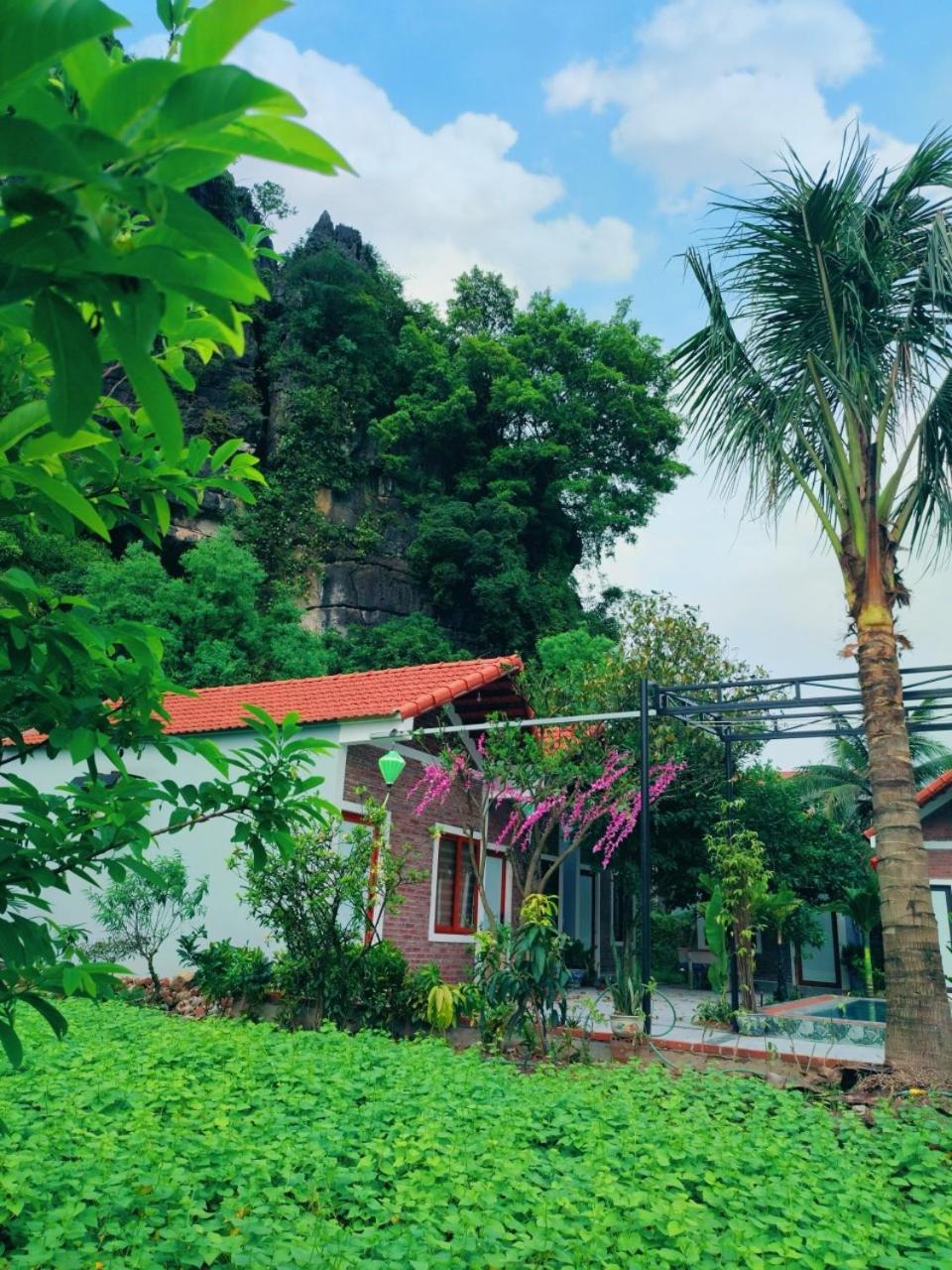 Trang An Natural Mountainside Homestay Ninh Bình Extérieur photo