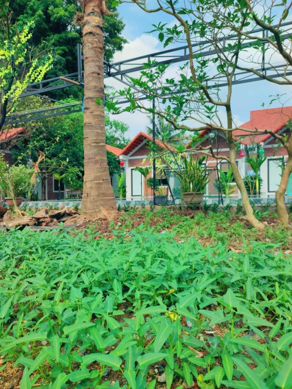 Trang An Natural Mountainside Homestay Ninh Bình Extérieur photo