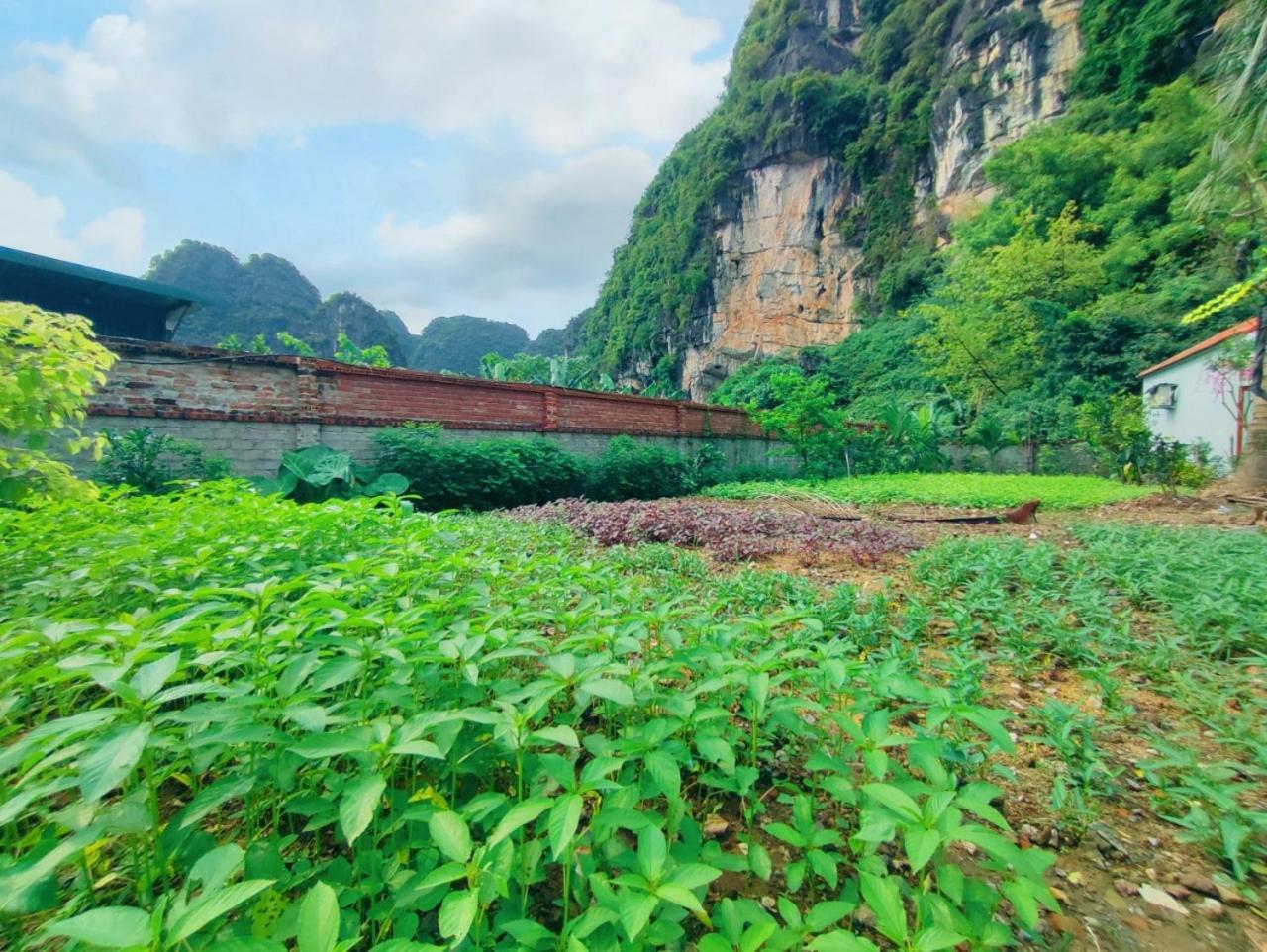 Trang An Natural Mountainside Homestay Ninh Bình Extérieur photo