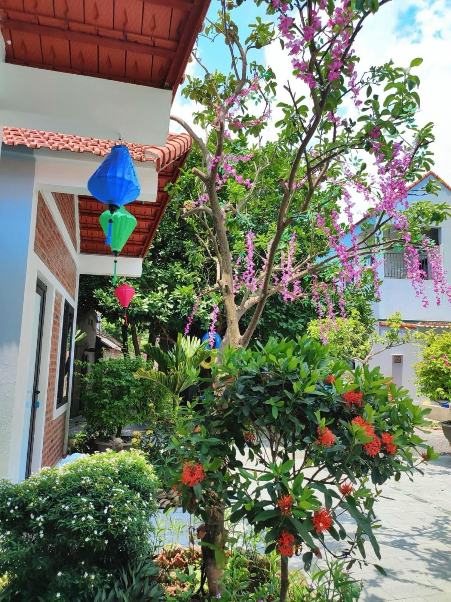 Trang An Natural Mountainside Homestay Ninh Bình Extérieur photo